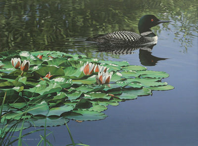 Loon