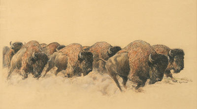 Stampeding Buffaloes