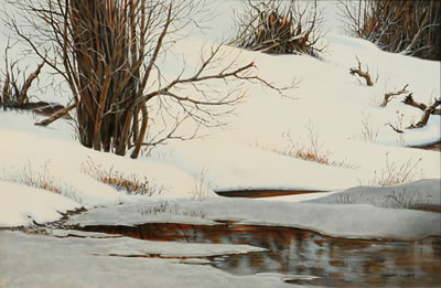 Winter Stream