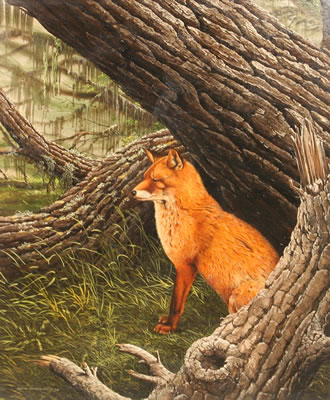Fox