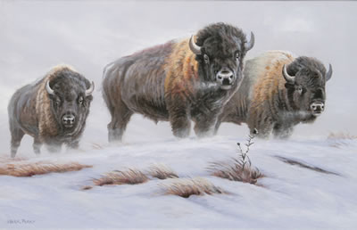 Prairie Winds by Mark Perry - Auction record, sale price, and art valuation. Compare with similar artists and explore comparable artworks.
