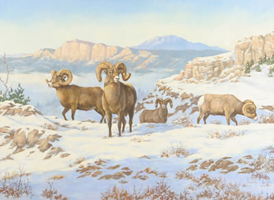 Rambling Rams