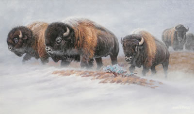 Prairie Winter