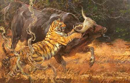 Tiger & Water Buffalo