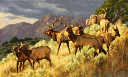 Above The Fruited Plains