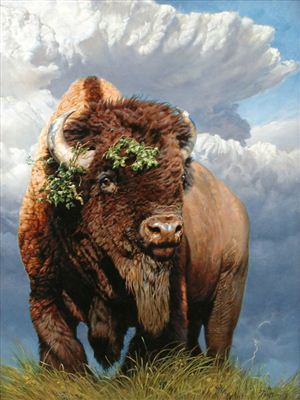 Thunderhead