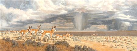 Pronghorn by Tom Beecham - Auction record, sale price, and art valuation. Compare with similar artists and explore comparable artworks.