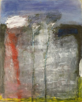 Trees on the shore of the Kinereth