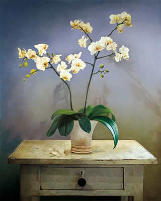 Still life with orchids