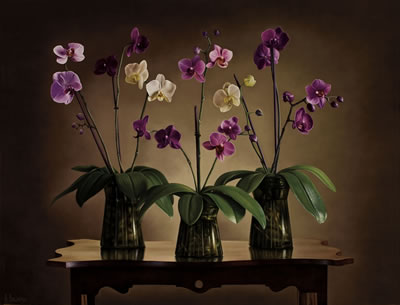 Still life with orchids