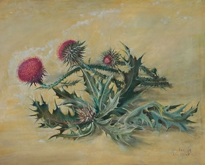Thorns