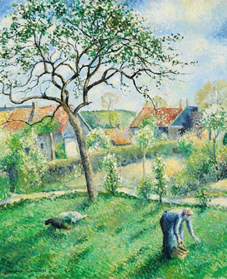 Pommiers en fleurs