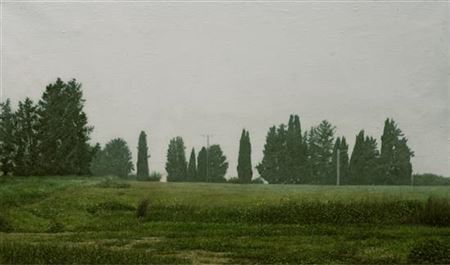 Cypresses, 2014