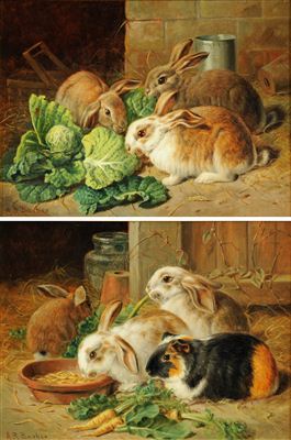 Rabbits Feeding (a pair)