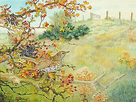 Autumn Fruit in Landscape by Elizabeth Walsh - Auction record, sale price, and art valuation. Compare with similar artists and explore comparable artworks.