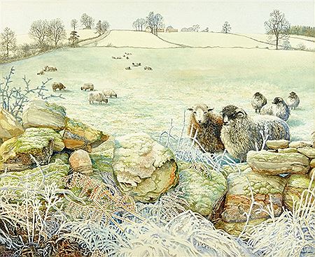 Sheep in winter landscape