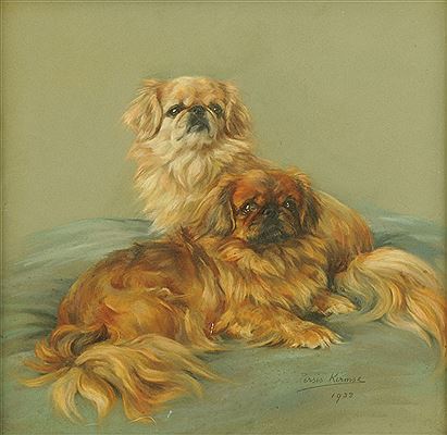 Portrait of two lap dogs