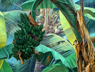 Pohon Pisang