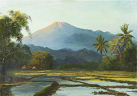 Landscape - Rice Field
