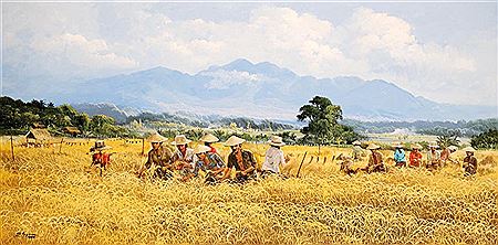 Harvest, 1996