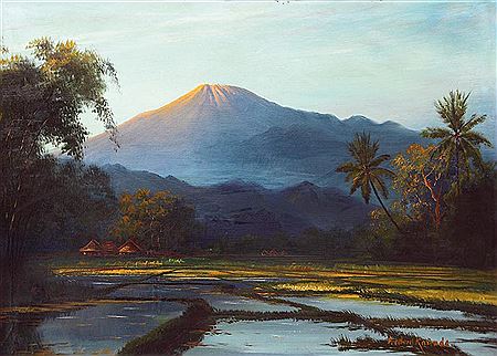 Landscape Ricefields