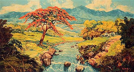 Panoramic View with The Flamboyant Tree