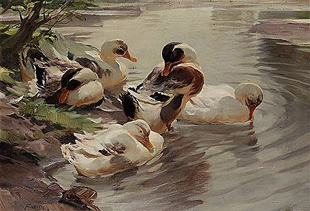 Five ducks on the shore