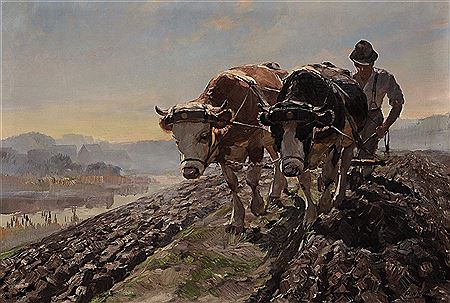 Farmer with bullock plow