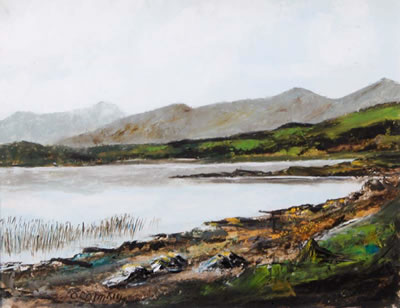 "Lough Fada" by Seamus Coleman - Auction record, sale price, and art valuation. Compare with similar artists and explore comparable artworks.