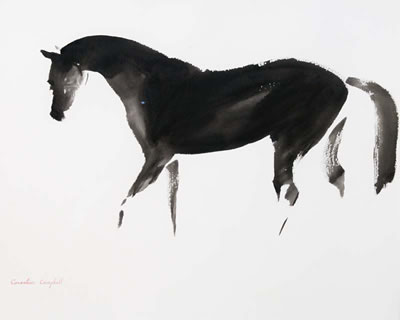 "Black Horse"