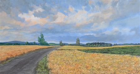 Cornfields, Co. Tipperary