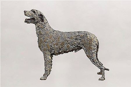 Irish Wolfhound