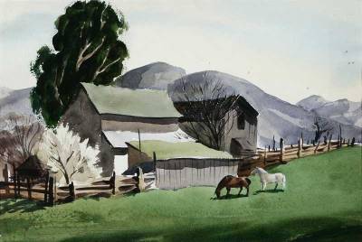 Horses in Farm Scene