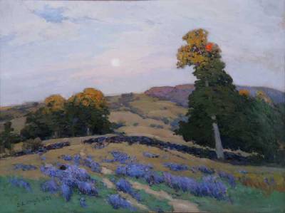 Landscape - Lupine in Rolling Hills
