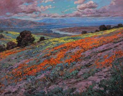 The Splendor of California