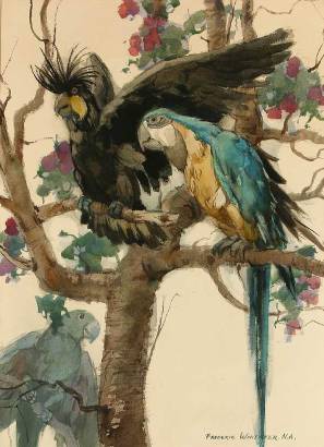 Birds of a Feather