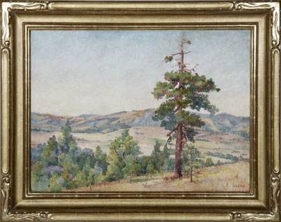 Vulcan Ranch from Pine Hills