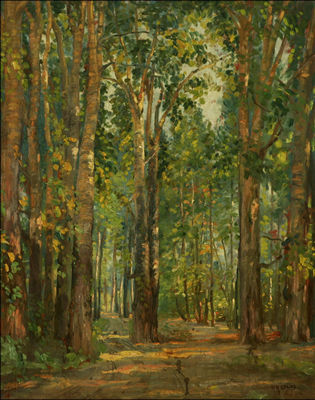 Wooded interior