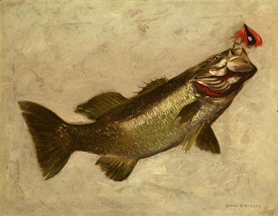 Black Bass