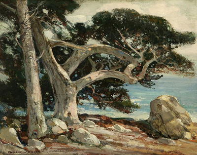 Carmel Coast
