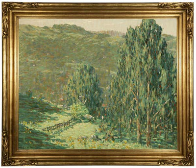 Marin Hills landscape