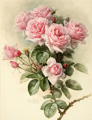 Roses and bumblebees