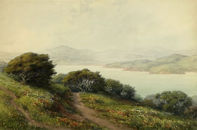 Monterey landscape with wildflowers