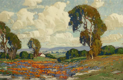 California valley with poppies and lupine