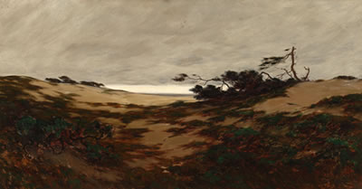 Coastal dunes