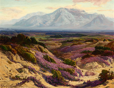 Blooming Verbena in the Desert and Mt. San Jacinto