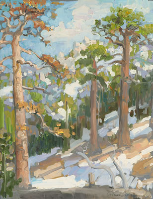 Winter Landscape
