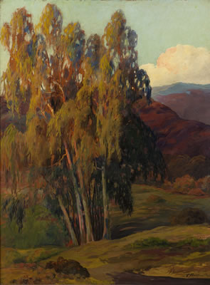 Late Afternoon