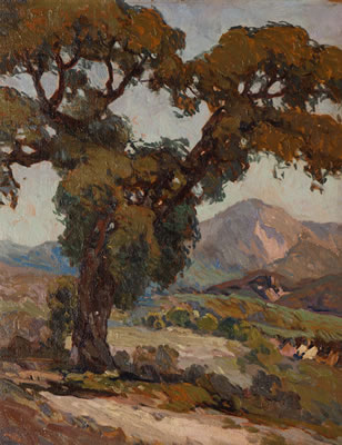 Old Oak Near Banning