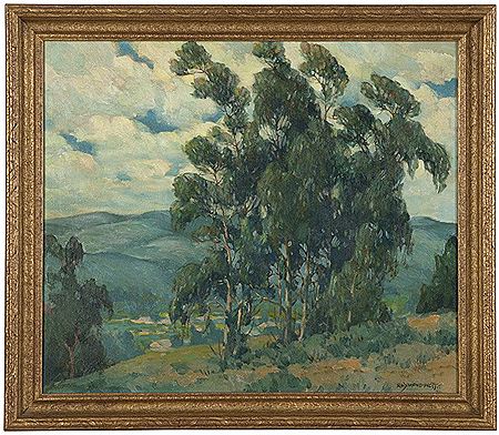 Eucalyptus trees in a landscape